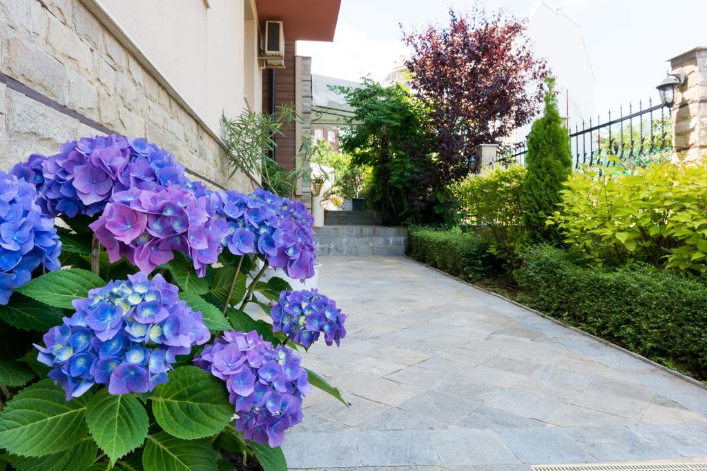 Hotel Siena House Sozopol Zewnętrze zdjęcie
